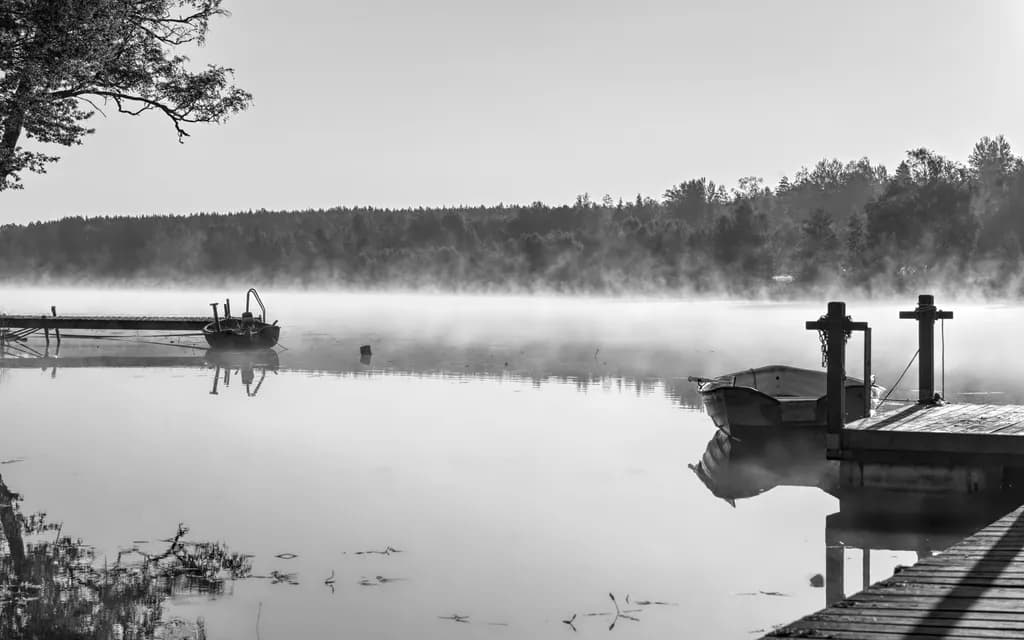 Whispers of Dawn: A Serene Morning by the Misty Lake