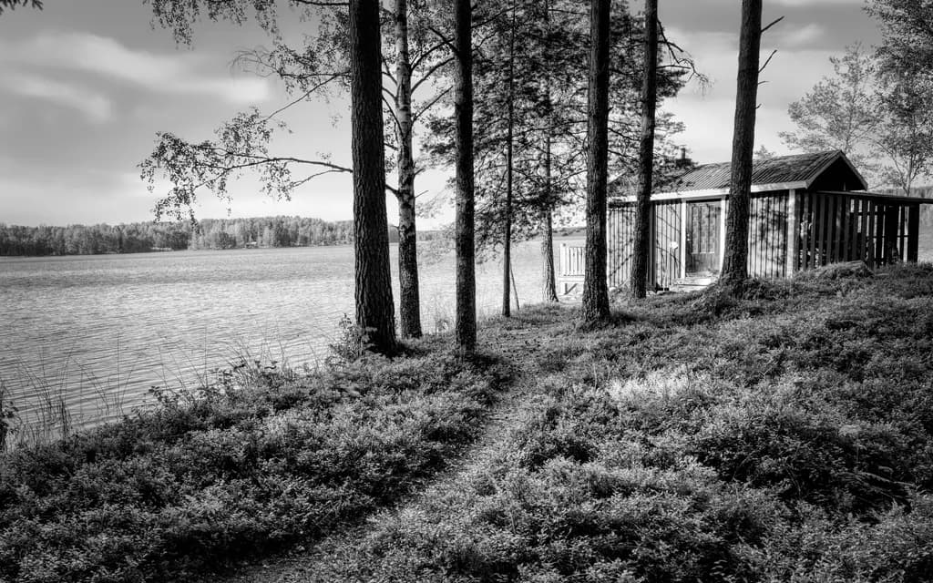 Whispers of Serenity: A Tranquil Lakeside Retreat in Monochrome