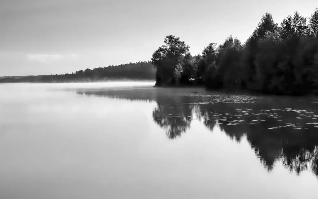 Whispers of Tranquility: A Monochrome Reflection on Nature's Serenity
