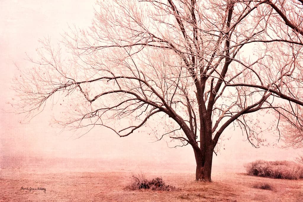 Pink Tree Texture Overlay