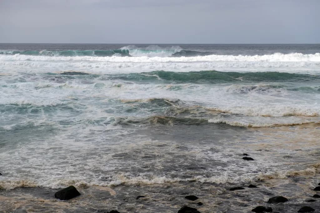 Azorean Surf