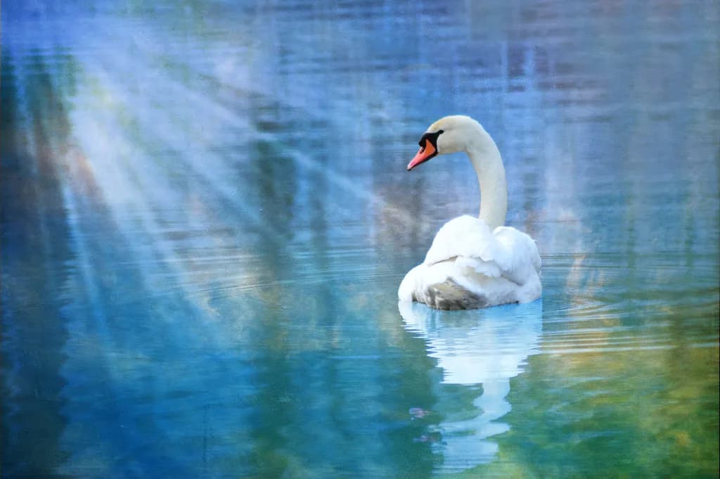 Calm and Unhurried