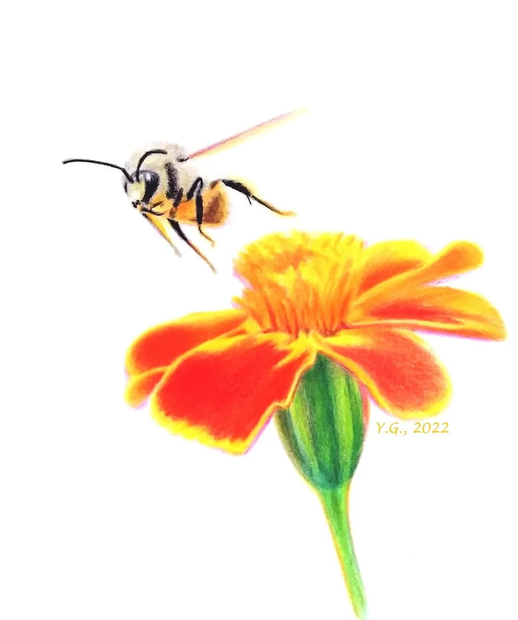 Whispers of Nature: A Bee's Dance with Marigold Blossoms