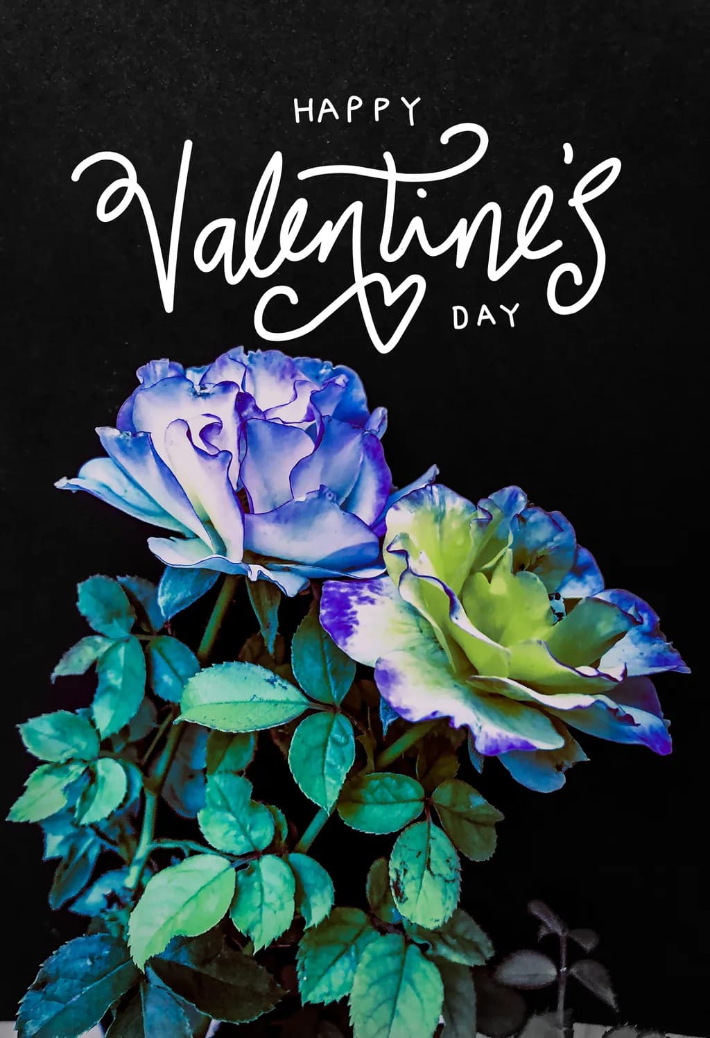 Blue and Green Roses