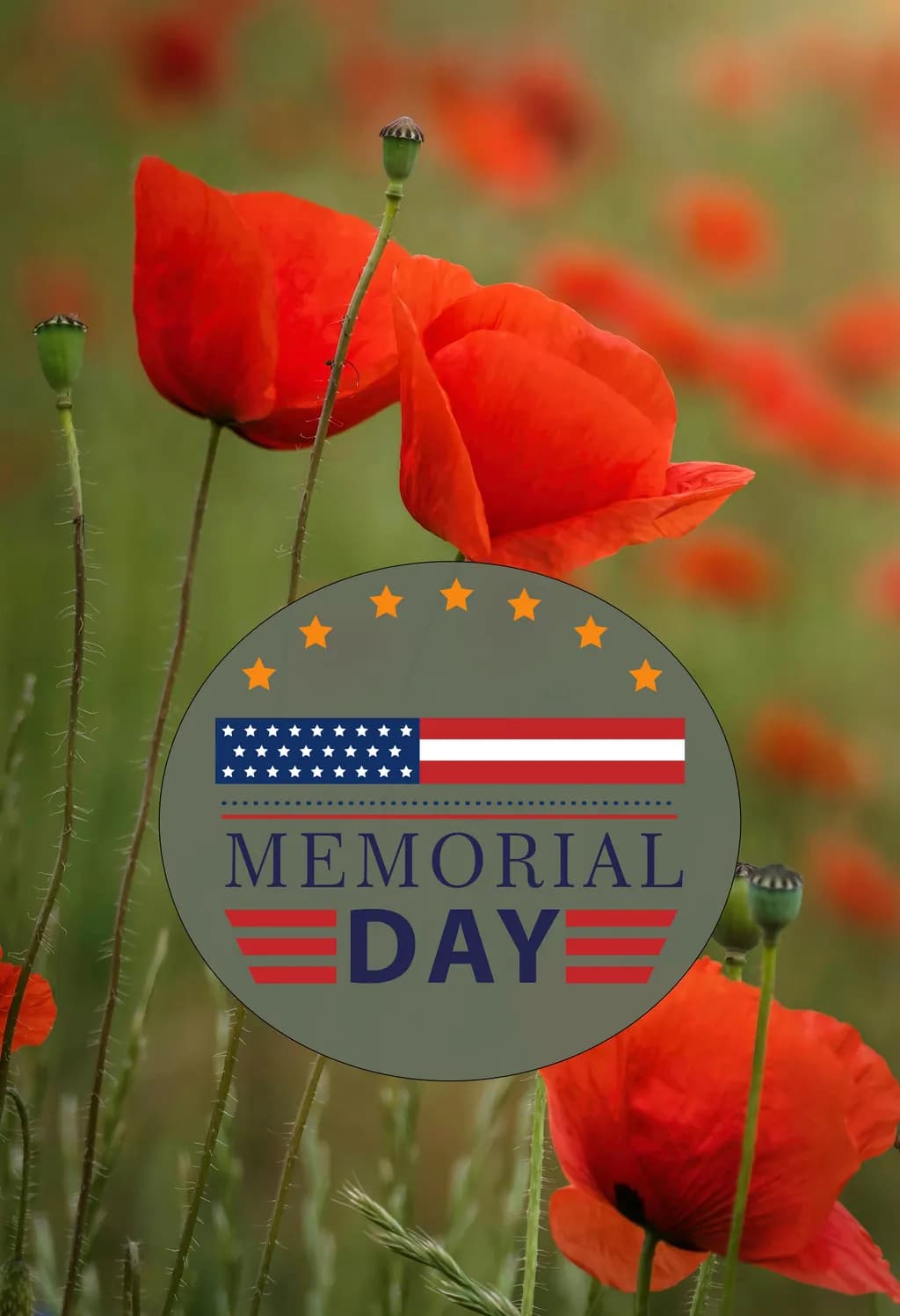 Memorial Poppies