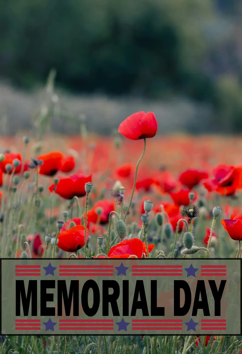 Memorial Day