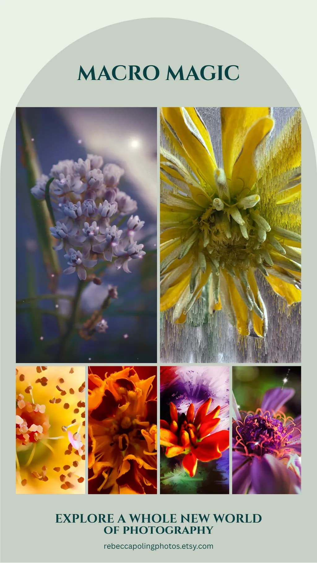 Macro Magic