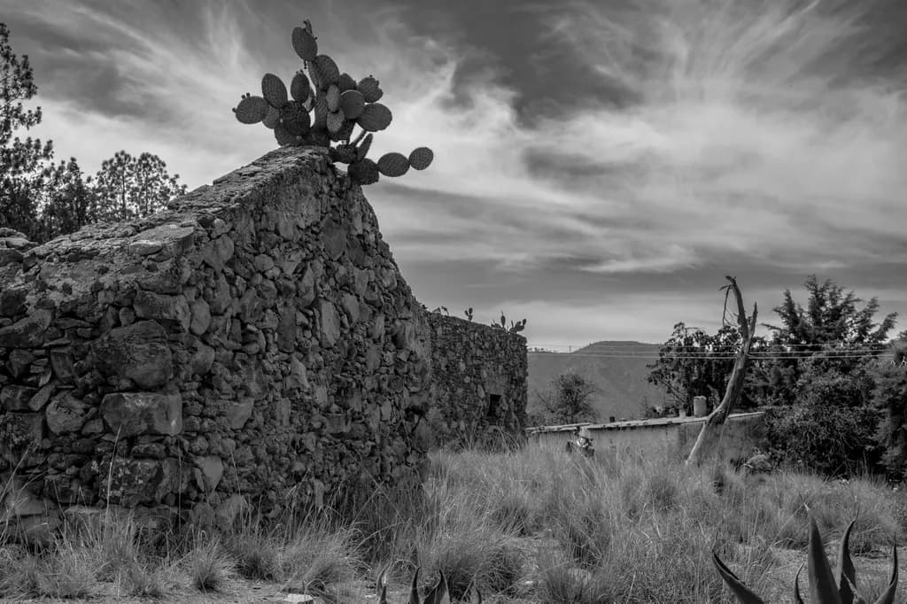 San Roque Ruins