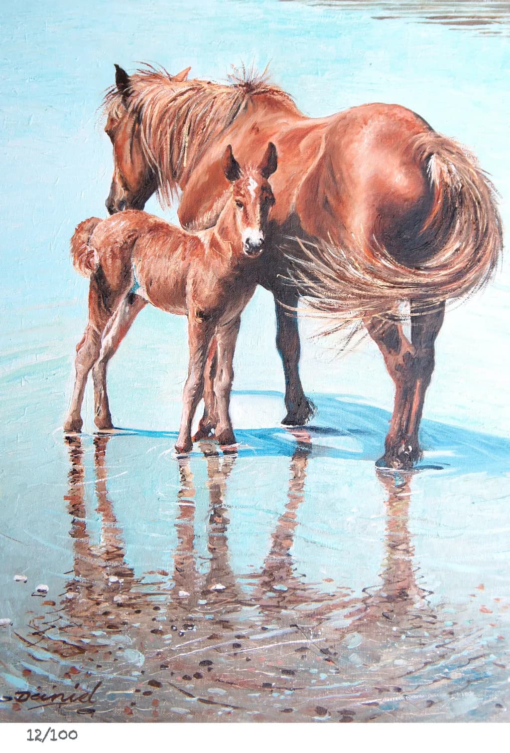 Mother and Foal Reflection