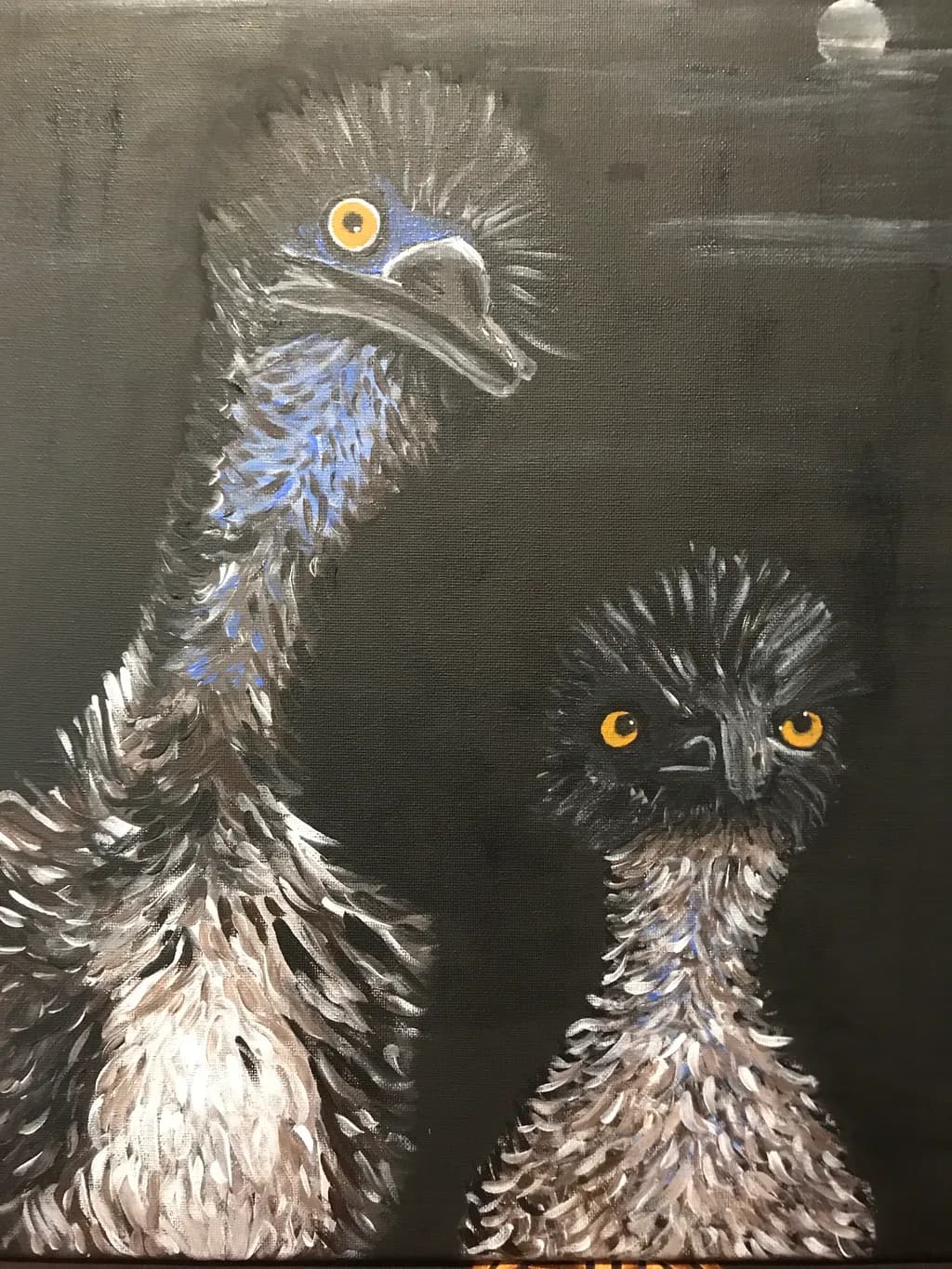 Nighttime Birds