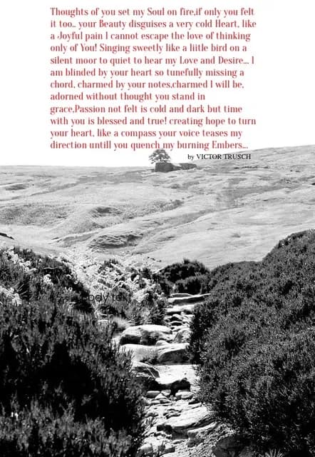 Whispers of the Heart: A Journey Through Love and Longing