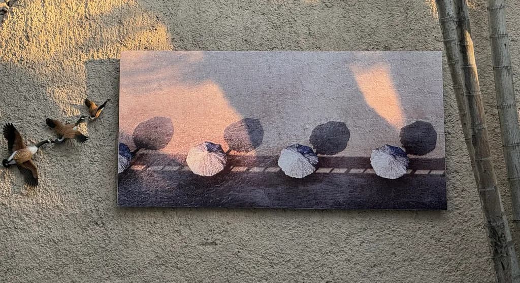Shadows in Line