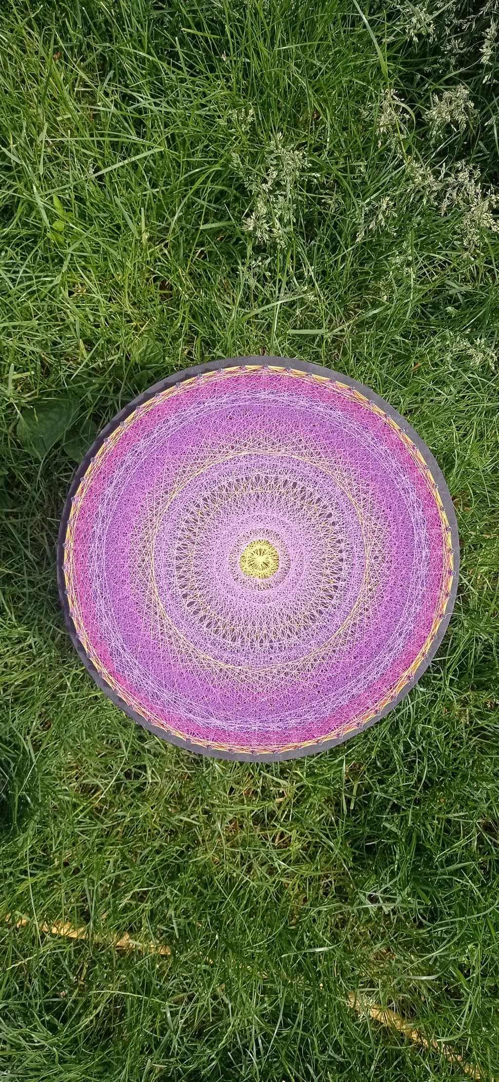 Whispers of Color: A Vibrant String Art Mandala on Nature's Canvas
