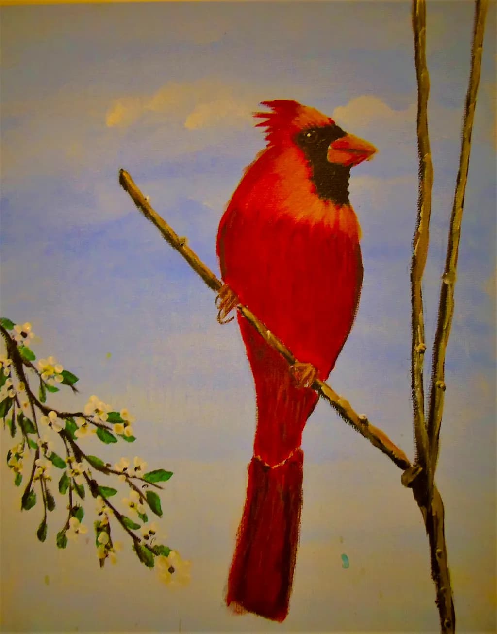 Vibrant Cardinal Perched Among Blossoms: A Celebration of Nature's Beauty