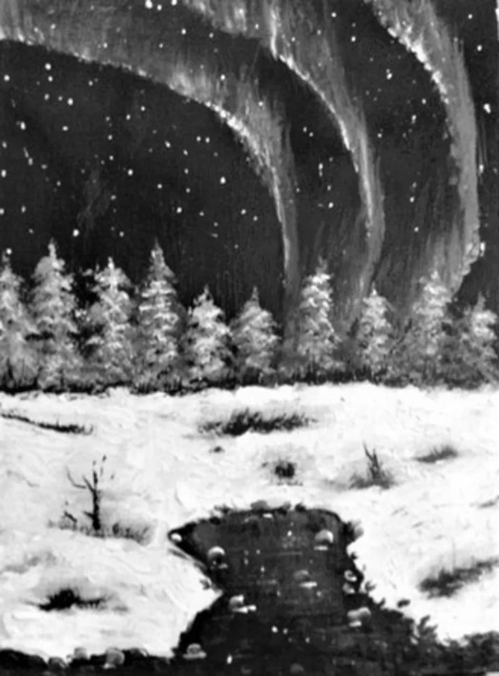 Whispers of the Northern Lights: A Serene Winter Landscape in Monochrome