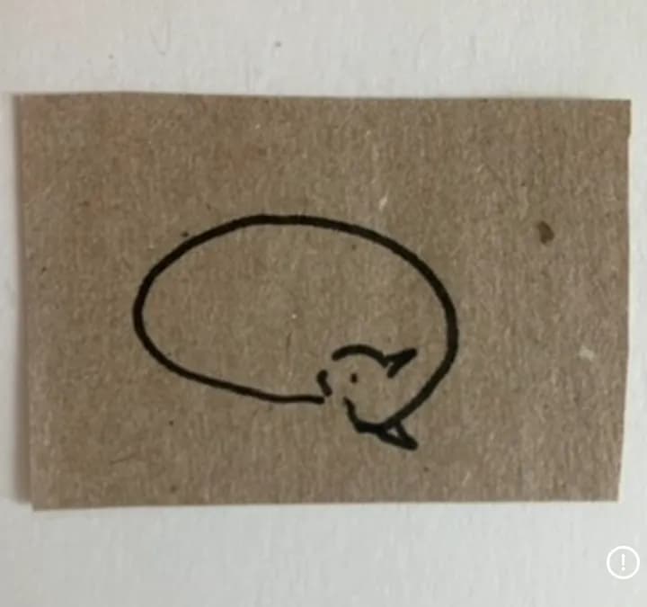 Cica