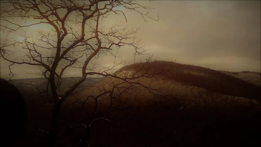 Whispers of the Worn Landscape: A Serene Embrace of Nature's Shadows