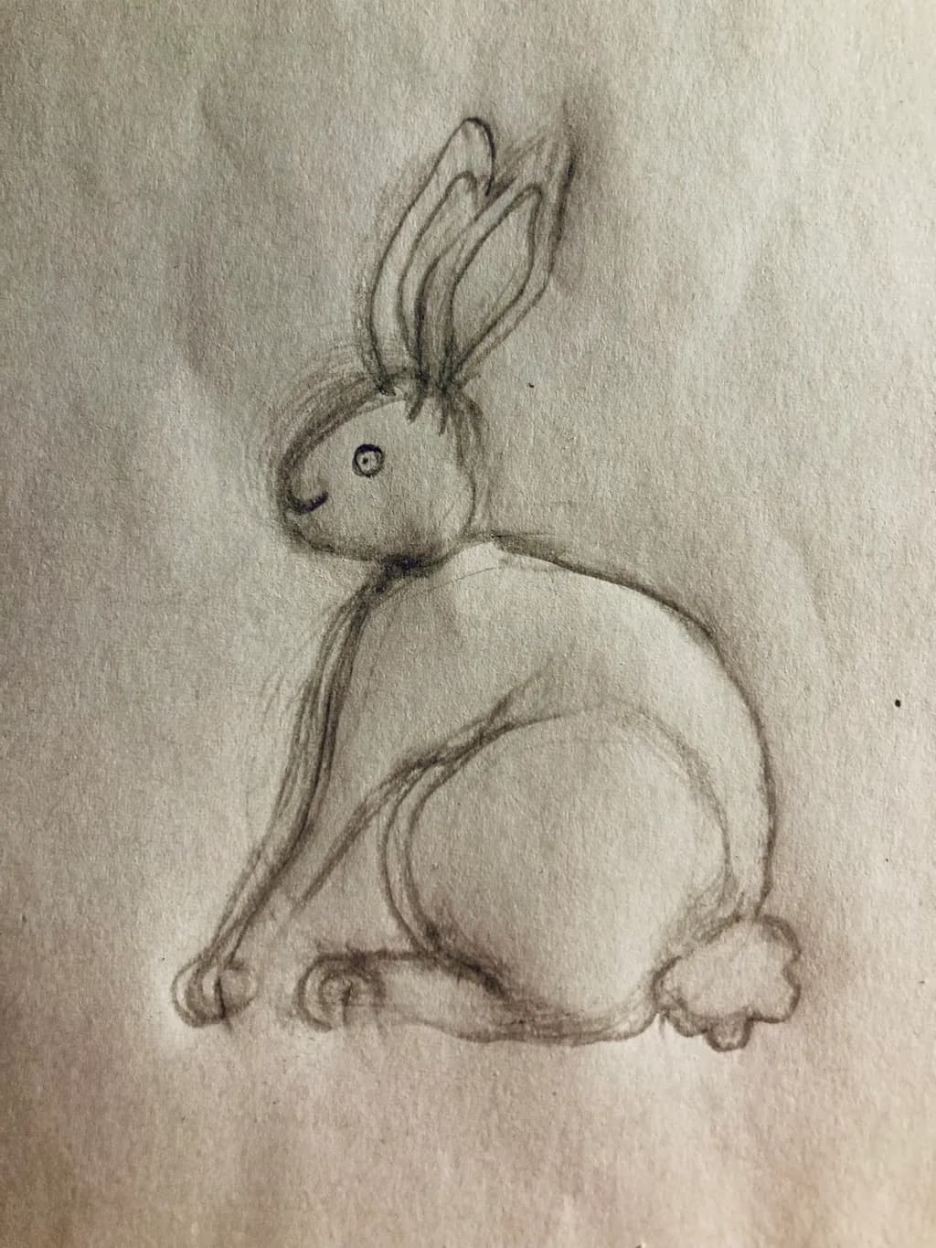 Whimsical Bunny: A Playful Sketch of Nature's Charm
