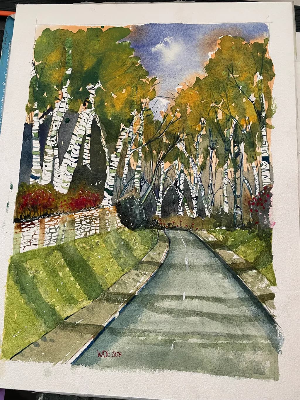 Whispers of Autumn: A Serene Path Through Golden Birch Trees
