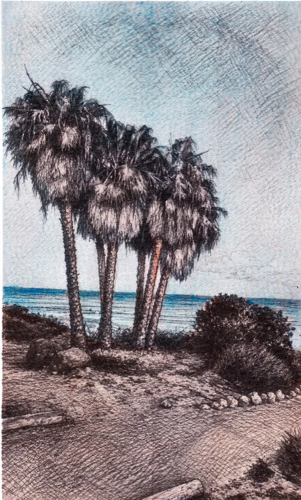 Palm Tree Symphony