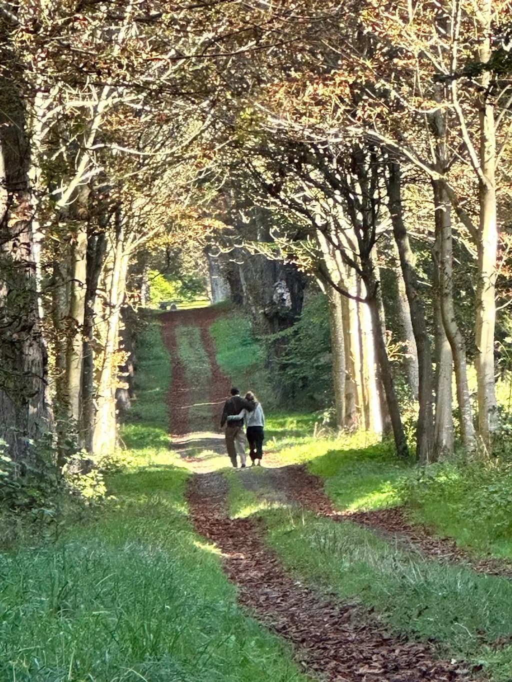 Autumn Stroll