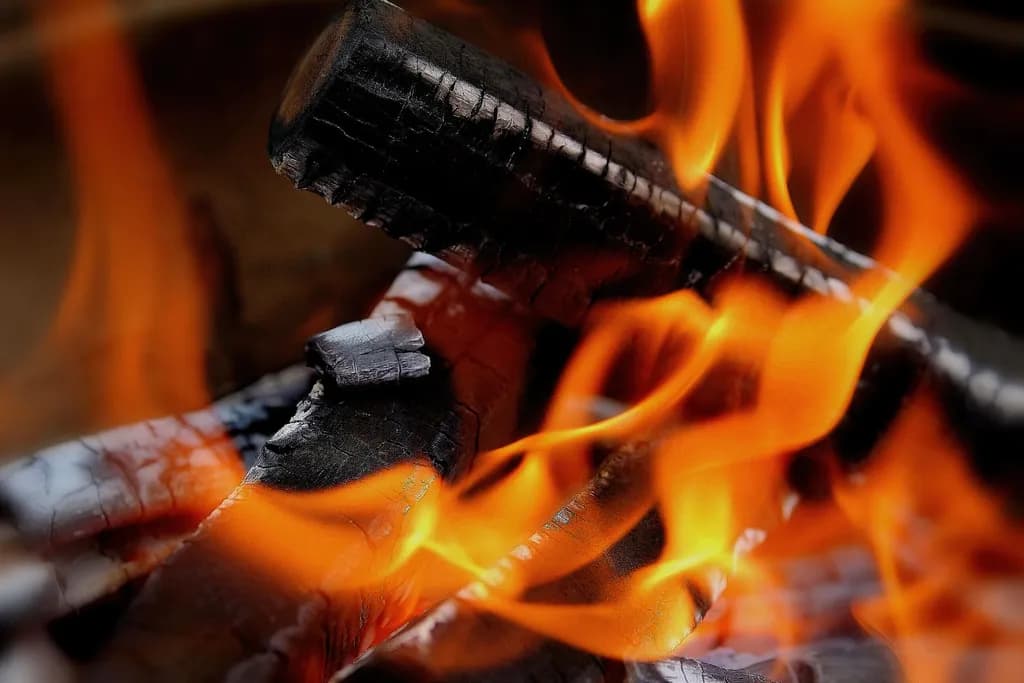 Embers of Passion: A Dance of Flames and Charred Wood