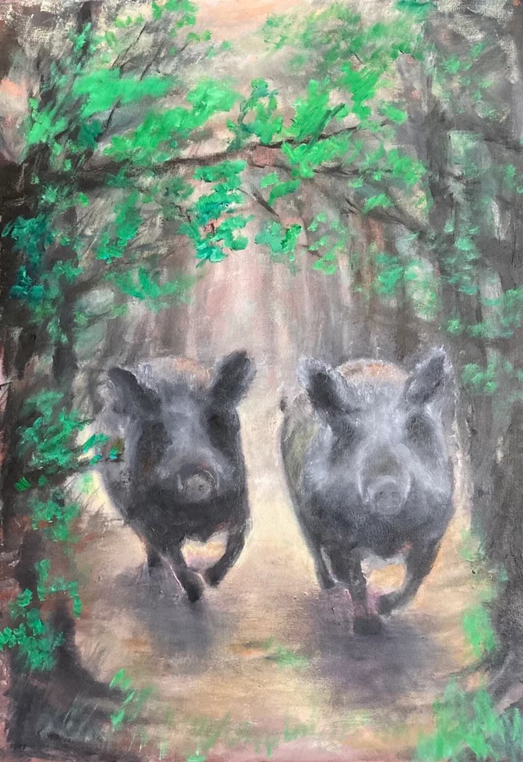 Forest Boars
