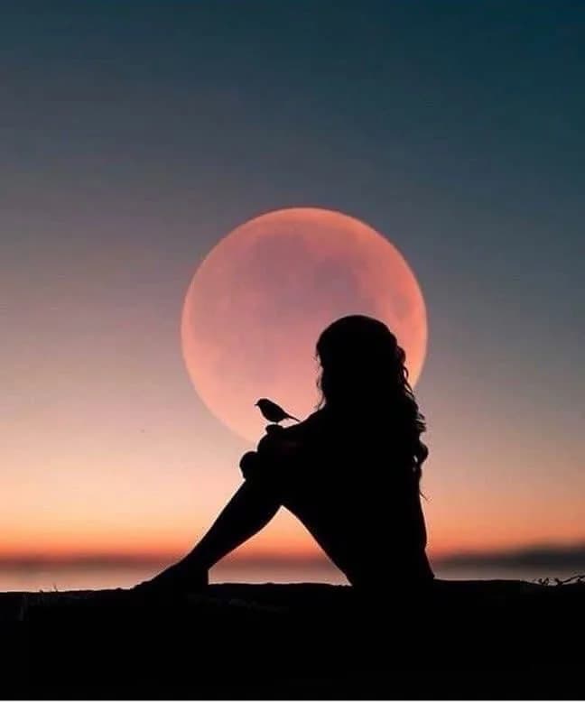 Whispers of the Moon: A Silhouette's Serenade at Dusk