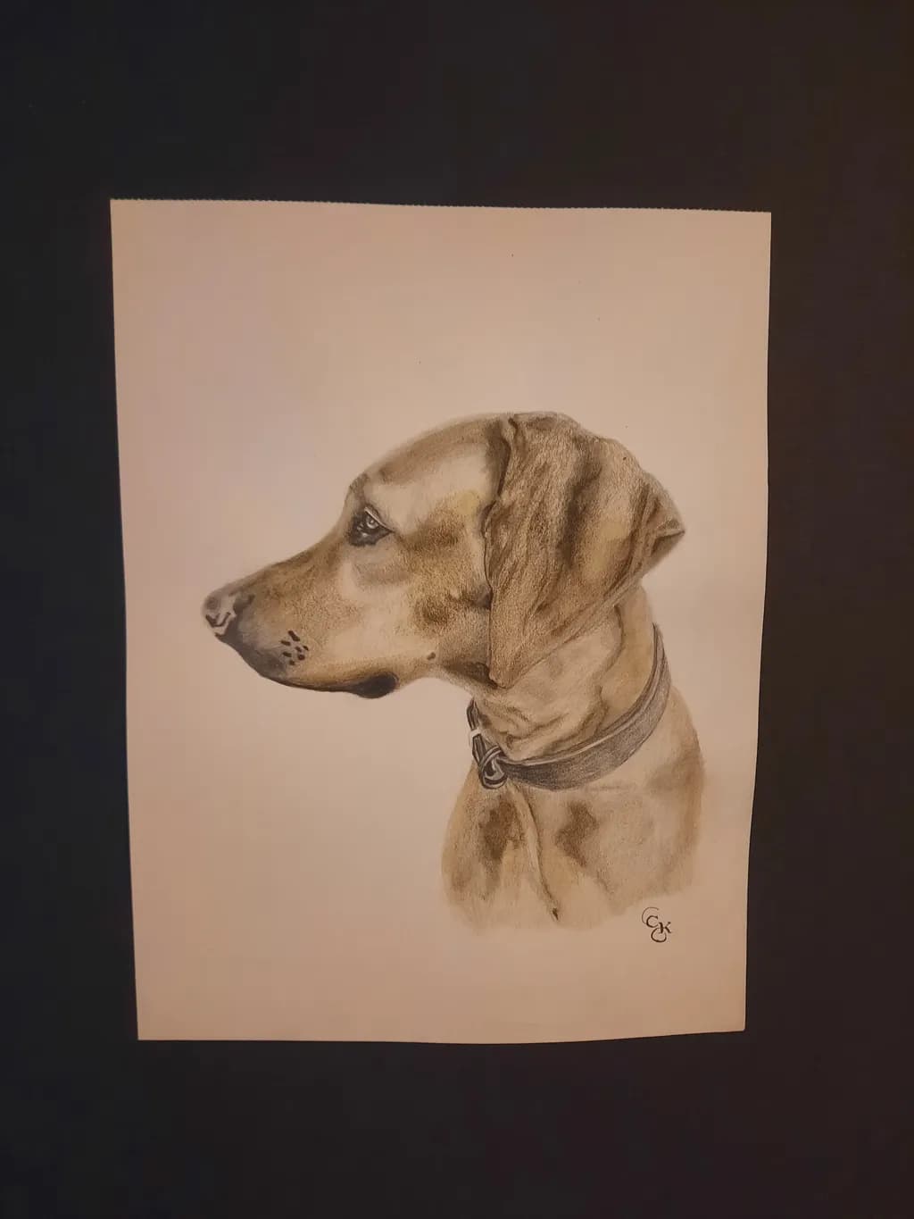 Whispers of Loyalty: A Realistic Portrait of a Beloved Canine Companion