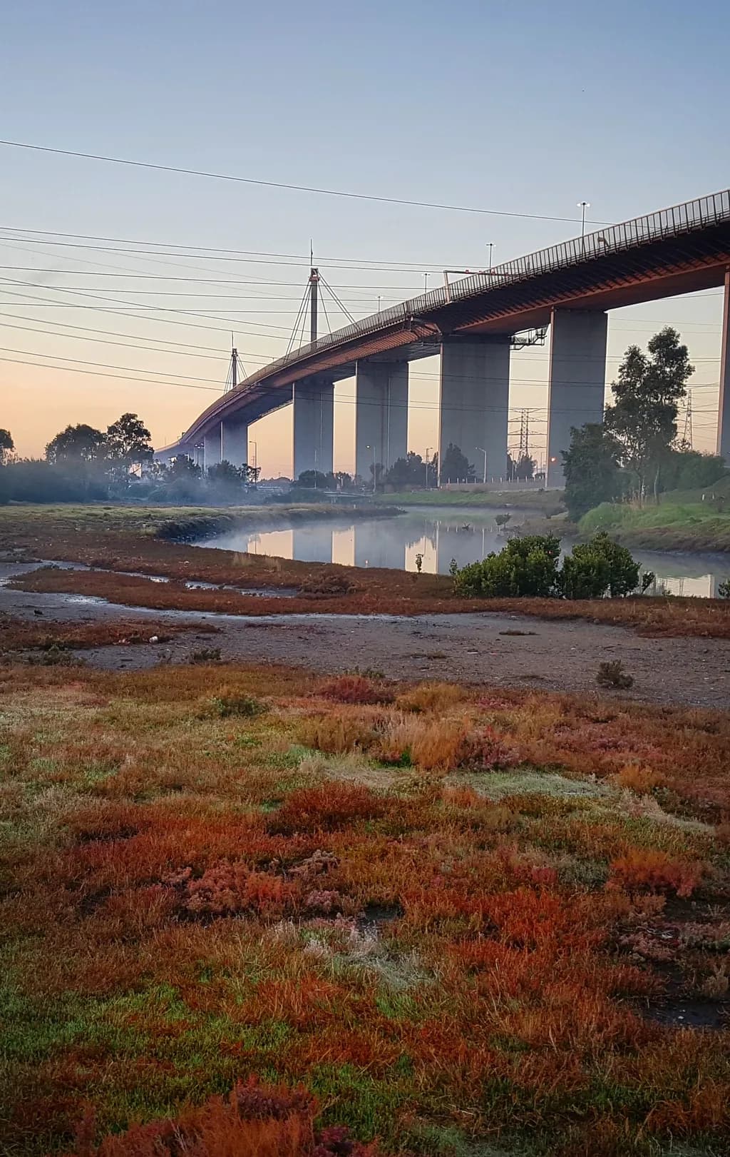Serenity at Dawn: A Bridge Reflected in Tranquil Waters