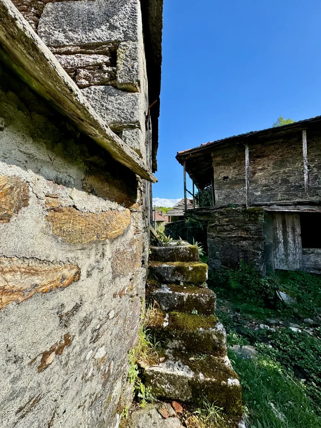 Whispers of Time: Nature's Embrace on Weathered Stone Steps