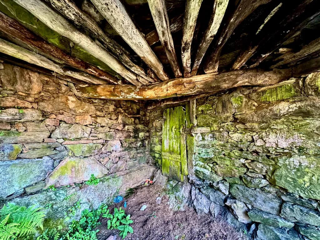 Whispers of Time: The Enchanted Doorway in Nature's Embrace