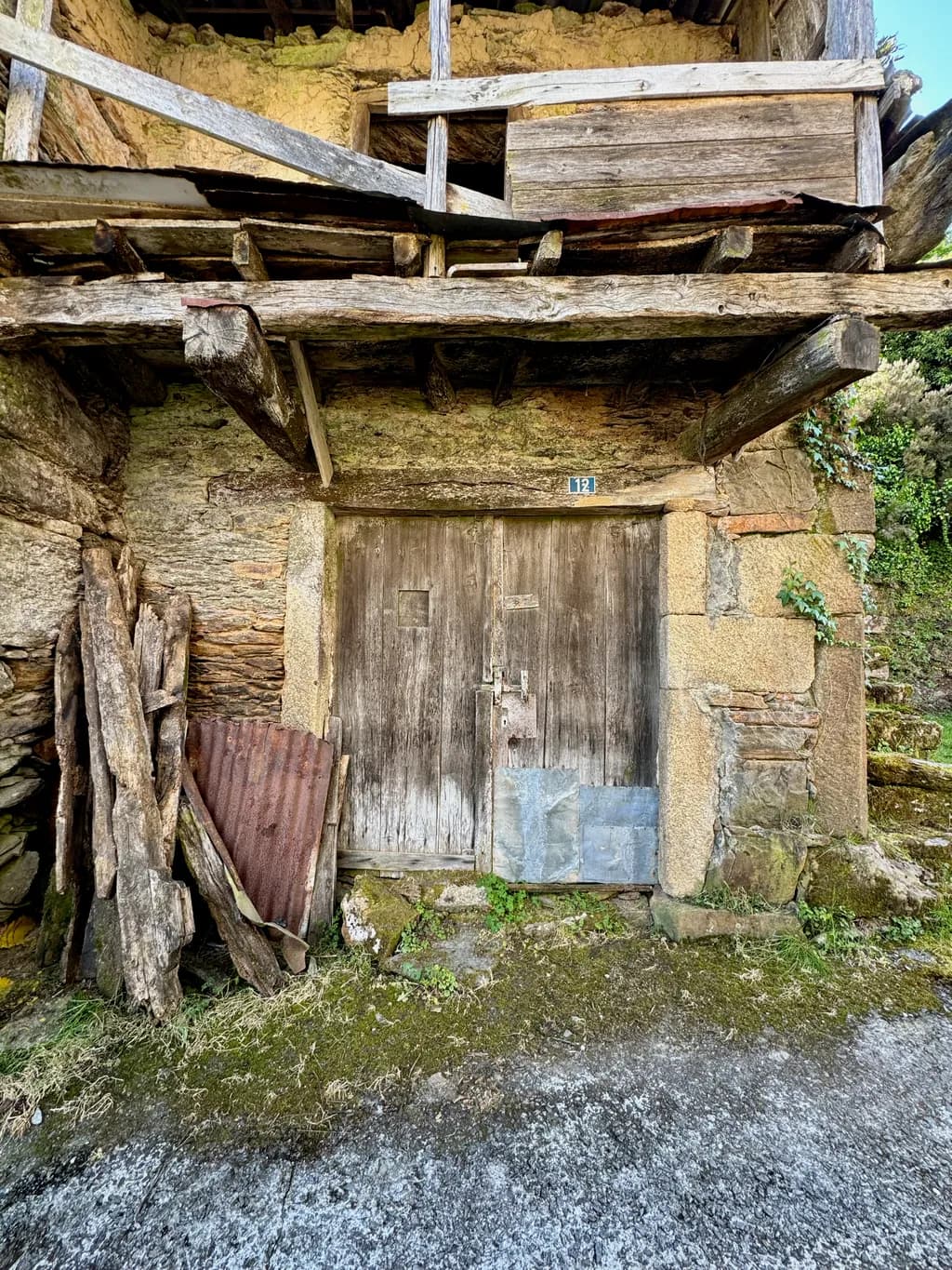 Whispers of Time: The Rustic Charm of an Abandoned Doorway in Nature's Embrace