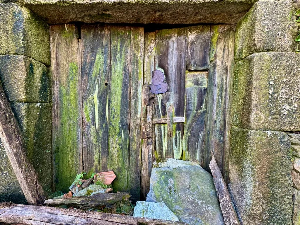 Whispers of Time: The Enchanted Doorway to Nature's Secrets