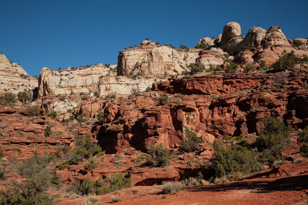 Desert Harmony: A Serene Landscape of Red Rocks and Blue Skies