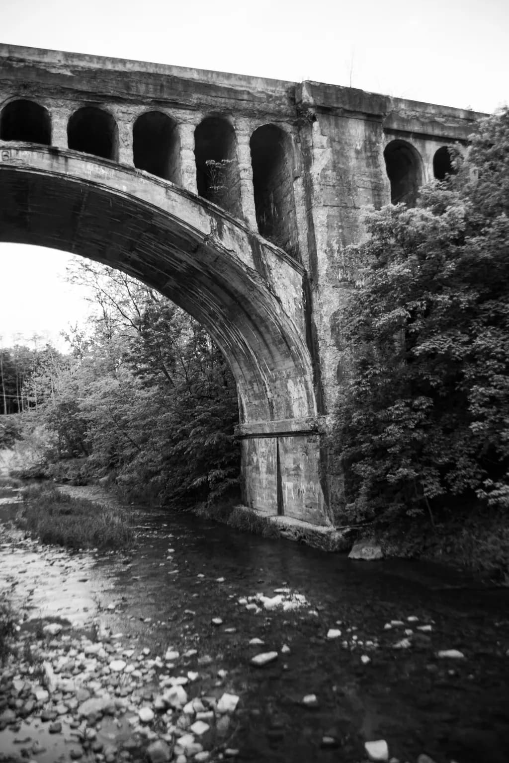 Whispers of Time: The Forgotten Bridge Over Still Waters