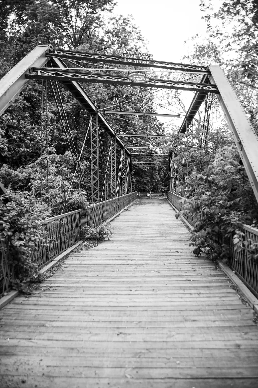 Whispers of Nature: A Tranquil Journey Across the Overgrown Bridge in Black and White