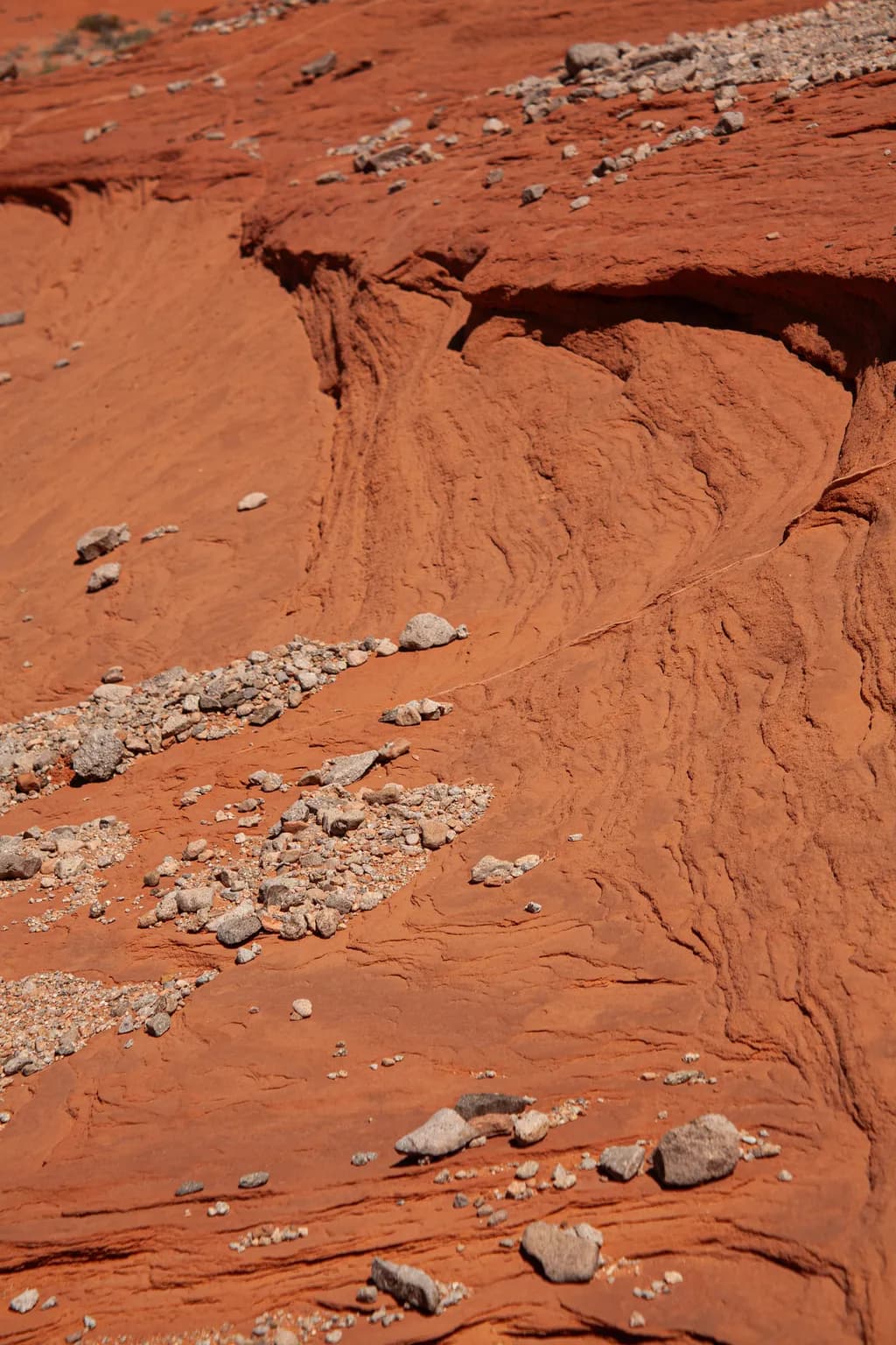 Desert Symphony: The Dance of Red Earth and Stone
