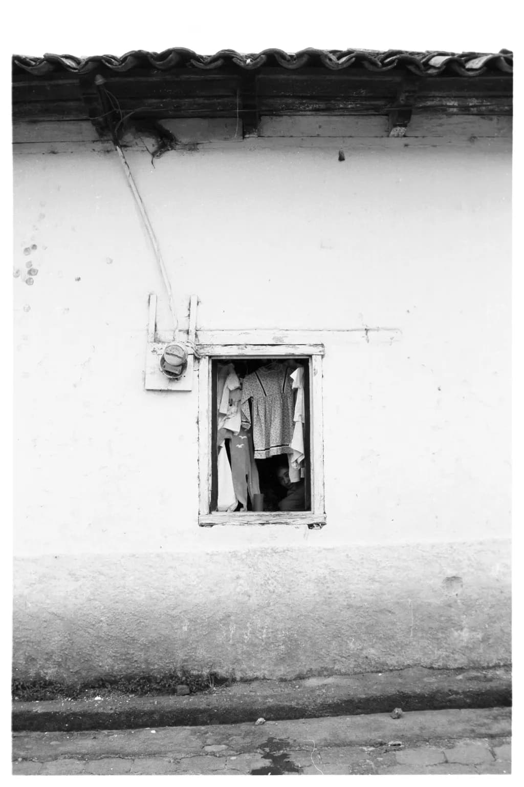 Whispers of Everyday Life: A Glimpse Through the Window of Solitude