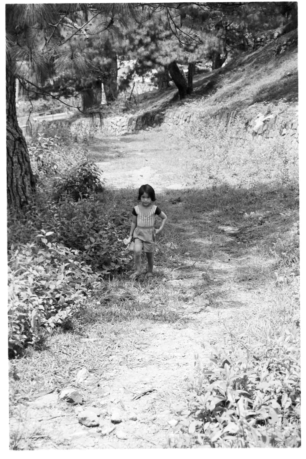 Whispers of Childhood: A Playful Journey Through the Forest in Black and White