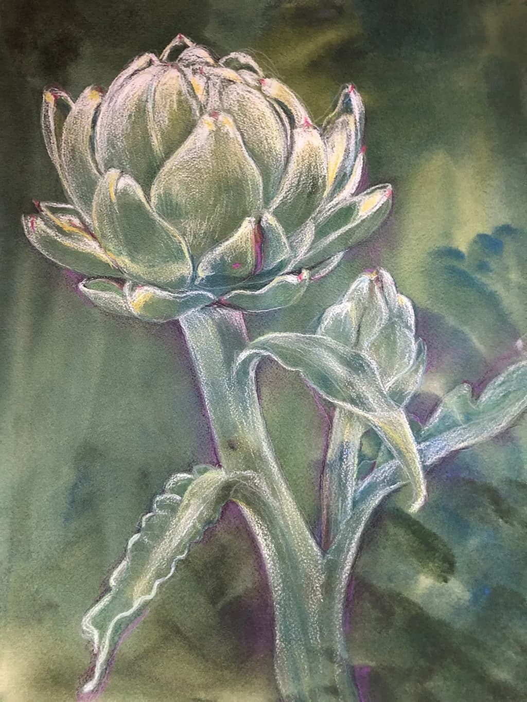 Artichoke Blossom