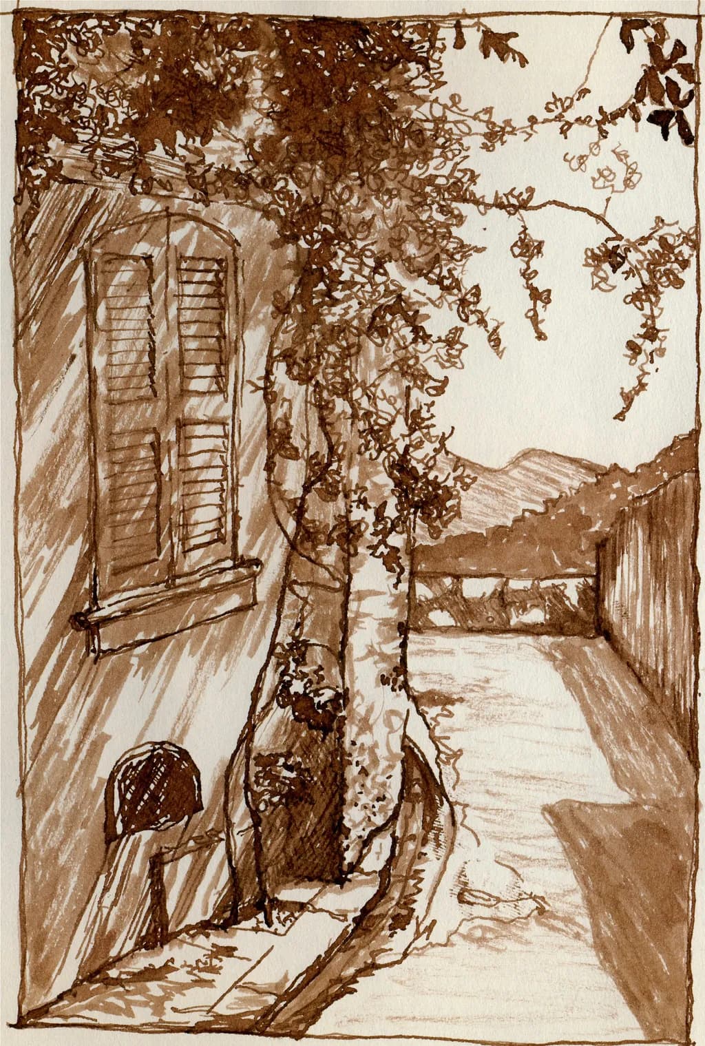 Sunlit Pathway