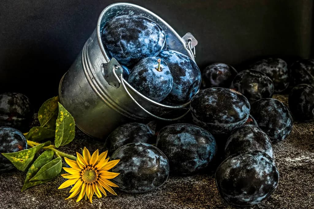 Harvested Elegance: A Still Life of Plums and Sunflower in Rustic Charm
