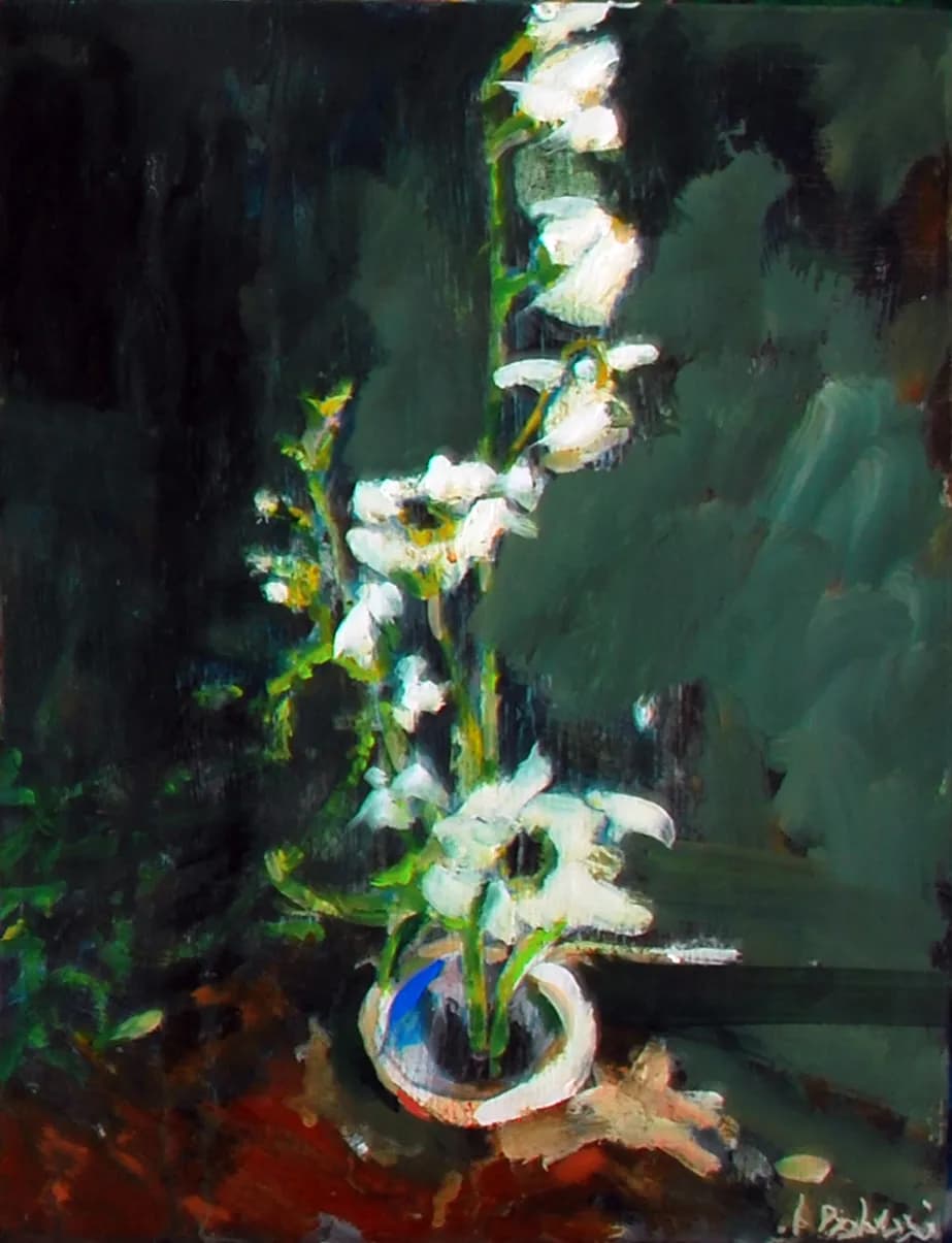 A DANCE OF WHITE PETALS