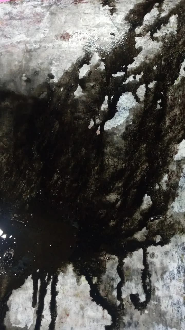 Whispers of Ink: A Journey Through Shadows and Light