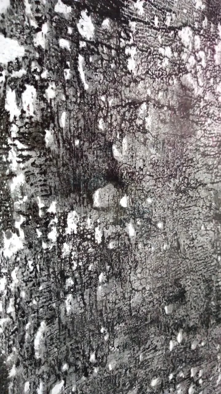 Whispers of Texture: A Monochrome Journey Through Light and Shadow