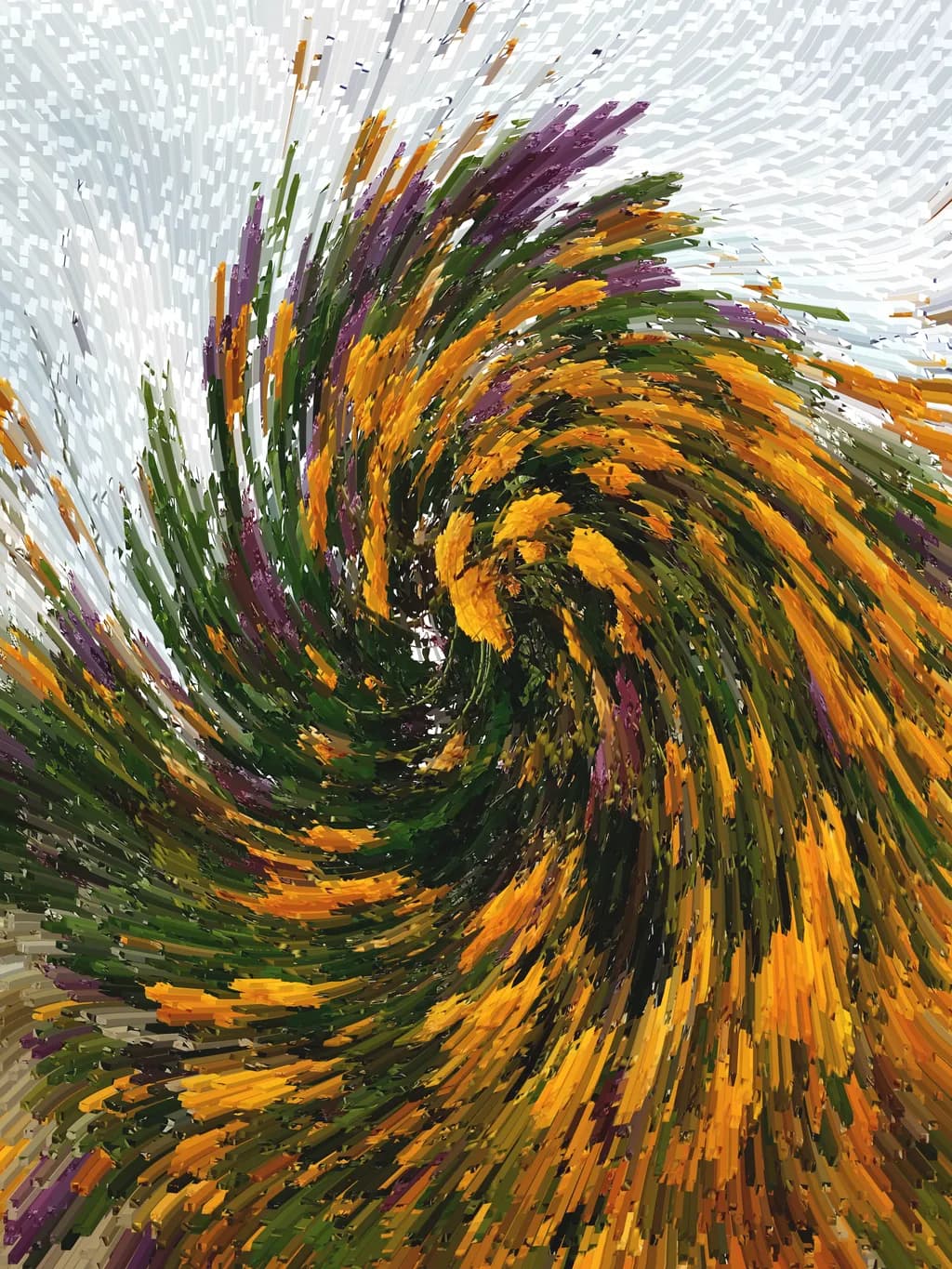 Whirlwind of Blooms: A Vibrant Dance of Color and Motion in Nature's Palette