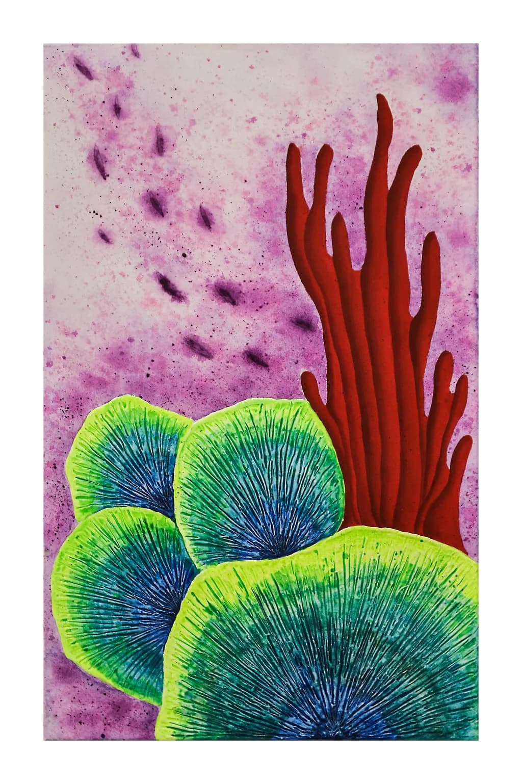 Coral Conversations