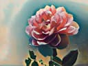 Original