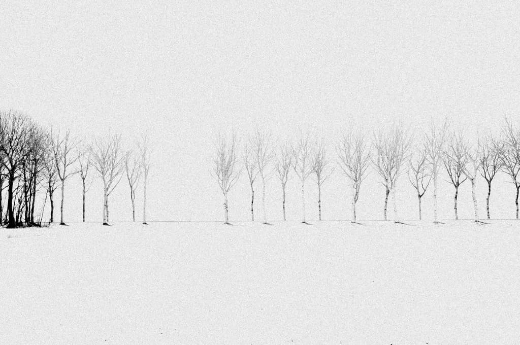 Grey Rhythm